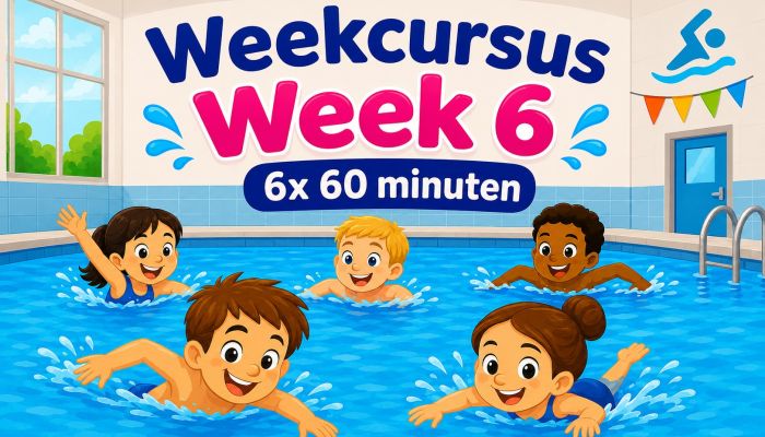 Week 6 6x